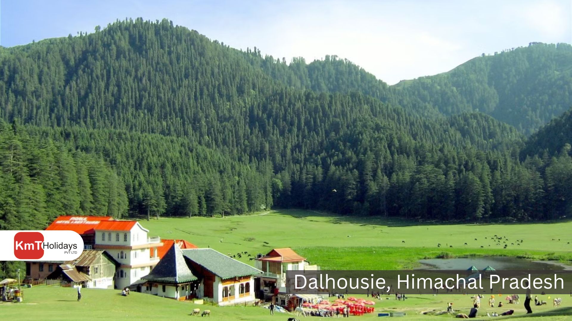 dalhousie-hp-001 View 1