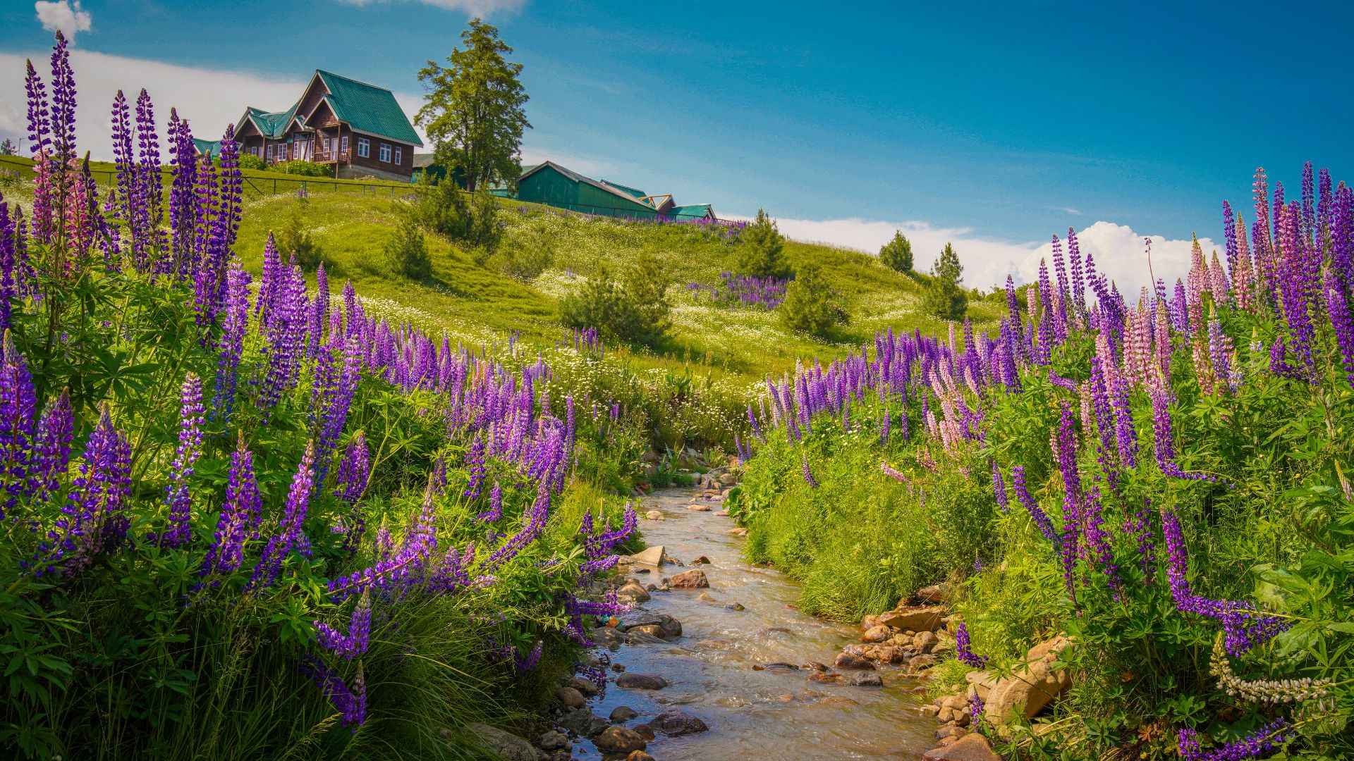 Kashmir Tour